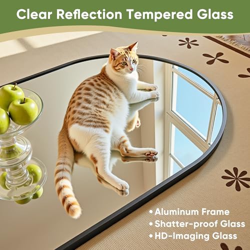 กระจกโค้งเต็มตัว 58 x 18 นิ้ว, - Arch Mirror Leaning บทวิจารณ์และราคา